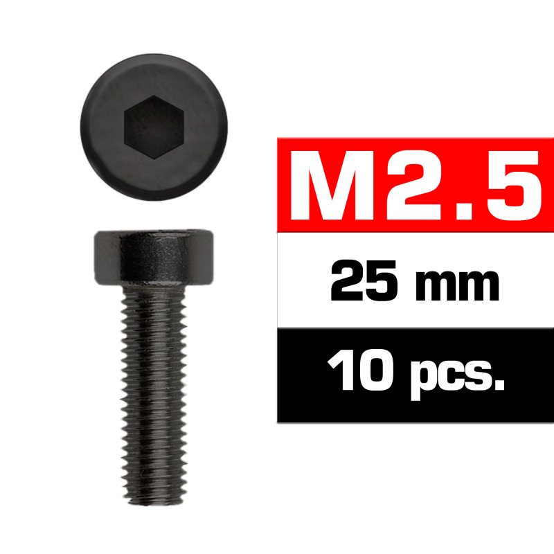 M2,5x25mm CAP HEAD SCREWS (10 pcs)